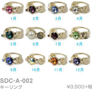 SDC-A-002 キーリング
